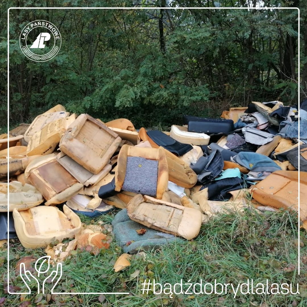 Fotografia przedstawia hałdę pianek z foteli samochodowych wyrzuconych w lesie. Fot. Tomasz Maćkowiak (RDLP w Poznaniu)