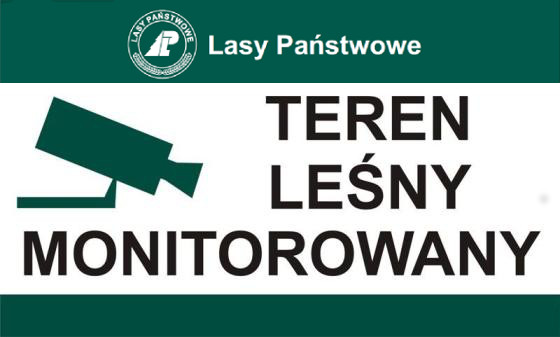 Teren leśny monitorowany