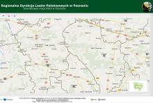 Interaktywna mapa lasów RDLP Poznań