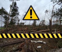 Okresowy zakaz wstępu do lasu Leśnictwo Borowiec i Leśnictwo Kaźmierka