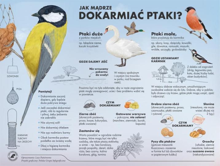 Infografika&#x20;dot&#x2e;&#x20;dokarmiania&#x20;ptaków&#x20;zimą&#x20;&#x28;źródło&#x3a;&#x20;CILP&#x29;