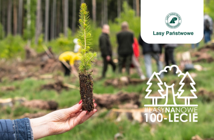 Zdjęcie&#x20;przedstawia&#x20;dłonie&#x20;trzymające&#x20;sadzonkę&#x20;z&#x20;bryłką&#x20;ziemi&#x20;na&#x20;tle&#x20;lasów&#x20;oraz&#x20;logotyp&#x20;akcji&#x20;&#x22;Lasy&#x20;na&#x20;nowe&#x20;100-lecie&#x22;&#x2e;&#x20;Źródło&#x20;Lasy&#x20;Państwowe