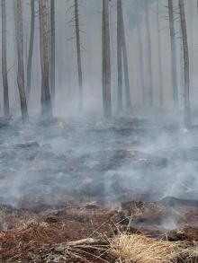 Pożar w leśnictwie Kaźmierka