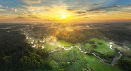 Dzień Ziemi 2026: nasza moc dla lasów i planety